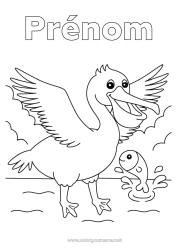 Coloriage gratuit Oiseau Animal Oiseaux et mammifères volants Pélican
