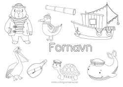 Farvelægningssiden tilpasning Bjørn Fiskeri Hval Hav Båd Havdyr eller vandlevende dyr Fugle og flyvende pattedyr Skovens dyr Marin Søfartøjer Måge, sølvmåge Havskildpadde Pelikan