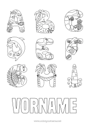 Kostenlose Malvorlage Urlaub Sommer Strand Alphabet Vögel und fliegende Säugetiere Leuchtturm Möwe, Möwe Kamera Buchstaben des Alphabets