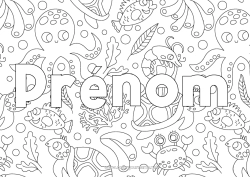 Coloriage à personnaliser Mer Animal Poisson Crabe Animaux marins ou aquatique Pieuvre, poulpe Fond décoratif Tortue marine