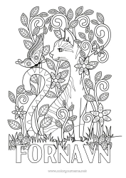 Gratis tegning Kat Sommerfugl Komplekse farvelægninger Zentangle Insekter Hunde og katte