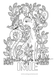 Kolorowanka za darmo Kot Motyl Złożone kolorowanki Zentangle Owady Psy i koty