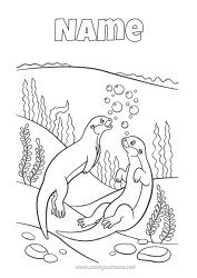 Colouring to customise Sea Animal Marine Or Aquatic Animals Otter
