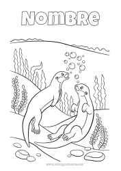 Dibujo libre Mar Animales marinos o acuáticos Nutria