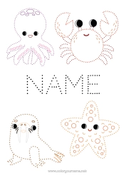 Colouring to customise Children's Activities Animal Connecting Points Seal Crab Easy Colouring Pages Starfish Marine Or Aquatic Animals Octopus