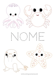 Desenho grátis Atividades para Crianças Animal Ligando os Pontos Foca Caranguejo Desenhos para colorir fáceis Estrela do mar Animais marinhos ou aquáticos Polvo, Lula
