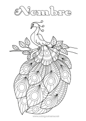 Colorear gratis Animales Pavo real Zentangle Aves y mamíferos voladores
