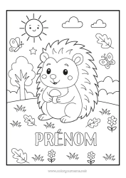 Coloriage à personnaliser Hérisson Papillon Animal Champignon Insectes Animaux de la forêt