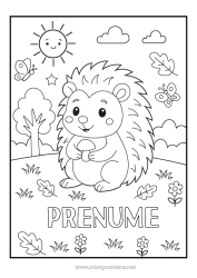 Pagină de colorat personalizată Arici Fluture Animal Ciupercă Insecte Animale din pădure