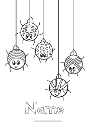 Colouring to customise Spider Animal Easy Colouring Pages Insects Cobweb