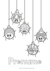 Desen liber de colorat Păianjen Animal Desene de colorat ușoare Insecte Pânză de păianjen