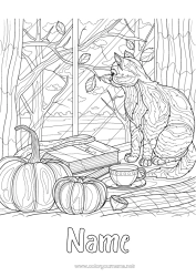 Free drawing Pumpkin Cat Autumn Coffee Tea Drinks Complex coloring pages Dog and cat Dead leaves