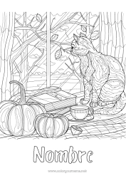 Colorear para personalizar Calabaza Cat Otoño Café Té Bebidas Dibujos complejos para colorear Perros y gatos Hojas muertas