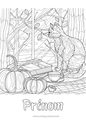 Dessin gratuit Citrouille Chat Automne Café Thé Boisson Coloriages complexes Chiens et chats Feuilles mortes