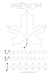 Dessin gratuit Automne Feuilles Points à relier Trace et colorie érable Fiche de graphisme maternelle Feuilles mortes
