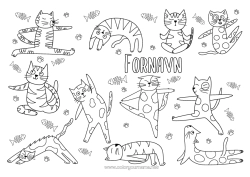 Fargeleggingssiden å tilpasse Rolig og zen Sport Katt Dyr Doodle Hunder og katter Kunstnerisk sport Yoga Følelser Sérénité se traduit par 