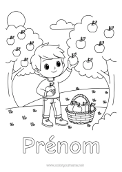 Coloriage gratuit Garçon Fruits Pomme Pommier