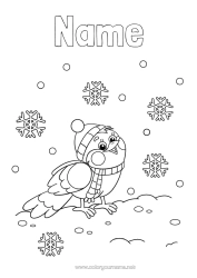 Free colouring Snow Winter Bird Snowflakes Animal Birds and flying mammals