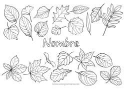 Dibujo libre Otoño Hojas Árbol Roble Arce Hojas muertas