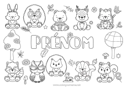 Coloriage à personnaliser Ours Hérisson Renne Kawaii écureuil Automne Renard Chouette, Hibou Lapin Champignon Oiseaux et mammifères volants Animaux de la forêt Raton laveur Feuilles mortes