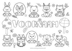 Gratis tekening Beer Egel Rendier Kawaii Eekhoorn Herfst Vos Uil, Kerkuil Konijn Paddestoel Vogels en vliegende zoogdieren Bosdieren Wasbeer Dode bladeren