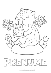 Pagină de colorat personalizată Fluture Fructe Insecte Alte animale din lume Pepene verde Capibara