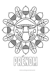 Dessin gratuit Mandala Automne Champignon Coloriages faciles Gland