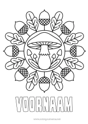 Gratis tekening Mandala Herfst Paddestoel Eenvoudige kleurplaten Eikel