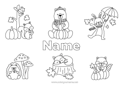 Colouring to customise Pumpkin Bear Hedgehog Autumn Rabbit Umbrella Forest Animals Raccoon Tree Stump Dead Leaves