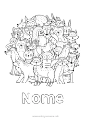Desenho para personalizar Lobo Urso Mandala Raposa Coruja Coelho Animal Pássaros e mamíferos voadores Animais da floresta Guaxinim