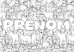Dessin gratuit Ours Renard Chouette, Hibou Lapin Animal Oiseaux et mammifères volants Animaux de la forêt Fond décoratif Raton laveur