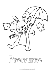 Pagină de colorat personalizată Toamnă Iepure Animal Umbrelă Desene de colorat ușoare Animale din pădure Frunze moarte