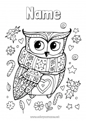 Free drawing Winter Owl Animal Flying birds and mammals