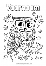 Gratis tekening Winter Uil, Kerkuil Dier Vogels en vliegende zoogdieren