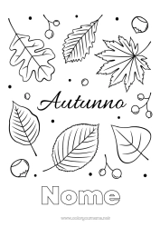 Colorazione gratuita Autunno Foglie Foglie morte