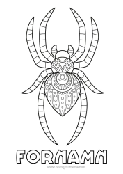 Gratis färgläggning Spindel Djur Zentangle Insekter