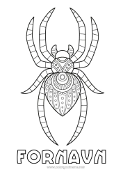 Gratis fargelegging Edderkopp Dyr Zentangle Insekter