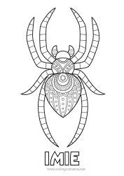 Rysunek za darmo Pająk Zwierzę Zentangle Owady