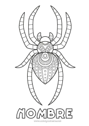 Colorear gratis Araña Animales Zentangle Insectos