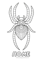 Colorare per personalizzare Ragno Animale Zentangle Insetti