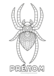 Coloriage à personnaliser Araignée Animal Zentangle Insectes