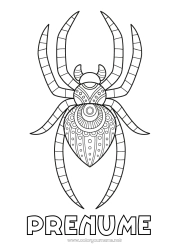 Pagină de colorat gratuită Păianjen Animal Zentangle Insecte