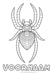 Gratis tekening Spin Dier Zentangle Insecten