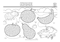 Desenho para personalizar Atividades para Crianças Animal Frutas Outros animais do mundo Banana Pêra Laranja Maçã Labirinto Capivara