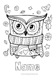 Free colouring Winter Owl, Tawny owl Animal Birds and flying mammals