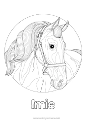 Kolorowanka do personalizacji Koń Zwierzę Zentangle Zwierzęta gospodarskie