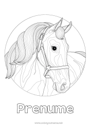 Pagină de colorat personalizată Cal Animal Zentangle Animale de fermă