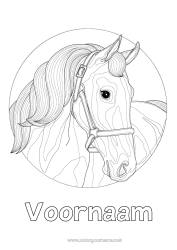 Gratis kleurplaat Paard Dier Zentangle Boerderijdieren