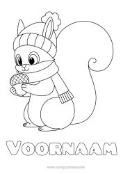 Kleurplaat aanpassen Eekhoorn Dier Bosdieren Eikel Wintermuts