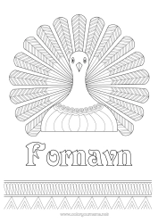 Farvelægningssiden tilpasning Høstsankefest Dyr Påfugl Zentangle Fugle og flyvende pattedyr Thanksgiving kalkun